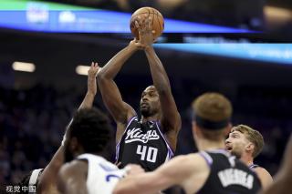 术调整的双 术调整的双